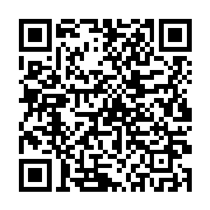 师叔忙掏了一条木根那上面的细蛇和挂着的皮肉拉开二维码生成