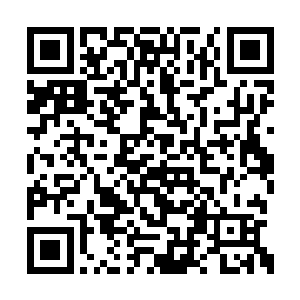 师尊不若不您永远也不会与叶楚在一起您们伯乐二维码生成