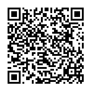 师尊高看我了 我这小小修为 上去也不过是送菜 这不是丢您鬼王的脸嘛 二维码生成