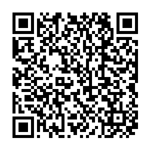 希尔顿这个八卦博主也笑歪了鼻子――之前他刊发的爆料反响还不是很大二维码生成