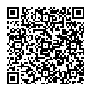希望他们不要报道珍妮的身世故事――由于珍妮的身世其实也没有什么特别的新闻点二维码生成