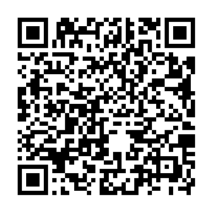 希望林和祥能够一次性的买下镇上的那两家已经关门的企业厂房和土地二维码生成