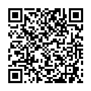 希望此时在你心中是大人物的我们不要和你一般见识――二维码生成
