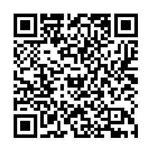 希望能让自家的青年俊彦迎娶苏颜这颗璀璨耀眼的明珠二维码生成