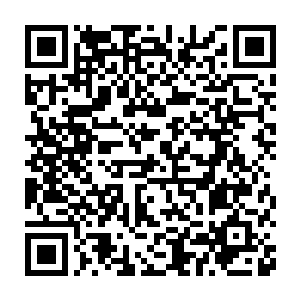 帕尔米娜就是负责俄罗斯联邦打击组织犯罪和恐怖主义部门的官员二维码生成