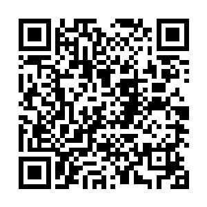 帕翠西娅明显这段时间在张东城的心里地位上升了不少二维码生成