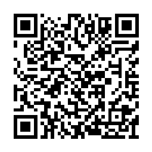 帕翠西娅的视线就又一次被另外一件衣服所吸引二维码生成