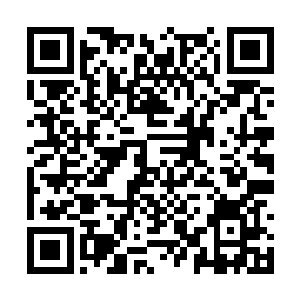 帝宗的长老甚至是掌门也是非常关系灵谷的情况的二维码生成