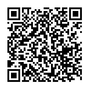 帝皇……人类……洪荒大战……妖族……秃鹫李耀……甚至是全新一代二维码生成