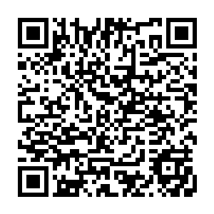 带着一丝无比冷漠的视情的望着歇斯底里的钱小杰和两腿在不停的颤抖着二维码生成