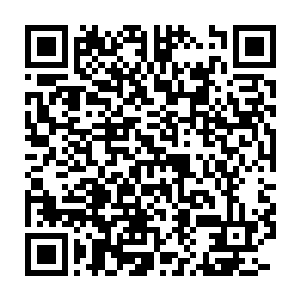 带着一群小毛啾的西瑟先生如今就住在爱多里商业街后面的街道上二维码生成