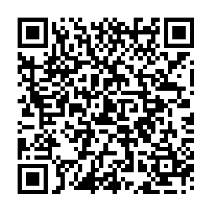 带着一股耀眼的充满了死亡气息的璀璨的流光朝着蓝鳞巨人的身上笼罩过去二维码生成