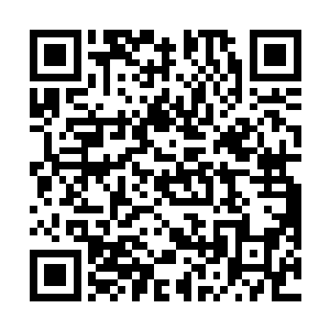 带着夜视眼镜使用望风和白天使用望风效果也差不多了二维码生成