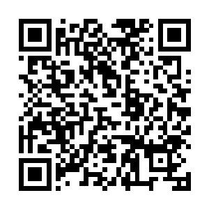 带着大白和小狐狸很淡定的从惊住了的上官钰身边走过二维码生成