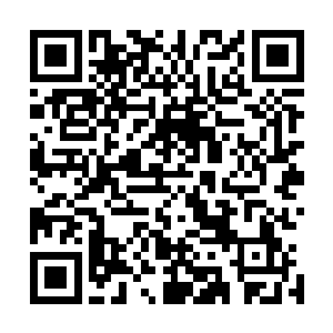带着我的小弟们到舞池里和那些穿着暴露的小姐们嗨了一会二维码生成