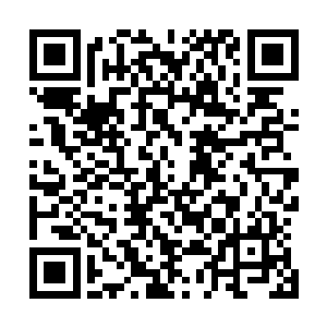 带着无与伦比的力量与八大家族五名圣王的圣兵碰撞在一起二维码生成