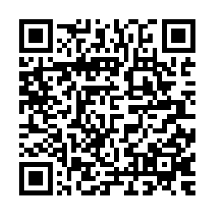 带着无尽神力与世界原力的拳头瞬间击碎了主物质位面的阻碍二维码生成