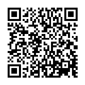 带着朱世寿小两口和杨晨匆匆参观完中华玄学门户网的公司二维码生成