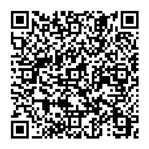 带着李维斯三人这就到森林里面去找合适的修炼地点――这么好的环境在地球上可是几乎找不到的二维码生成