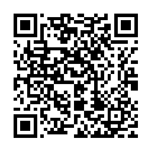 带着极大动能的利爪在坚硬的地面上留下了深达好几分米的痕迹二维码生成