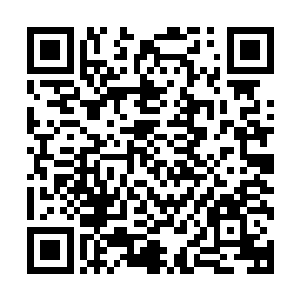 带着茫然的表情一件又一件的换着婚纱站到老板娘和妮娜面前二维码生成