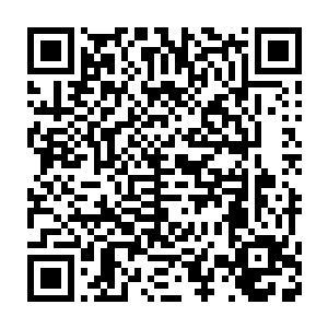 帮她拉了至少得有两三千张票……这是他们公司的第一次演唱会啊二维码生成