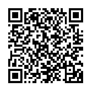 帮里的小弟在东方家族宅院外的街道上捡到了一部摔坏的手机二维码生成