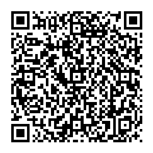 干掉的第一个欧美的屠夫似乎也就是当初去追杀司南的时候干掉的那个爆熊洛克……只不过那厮实力不够二维码生成