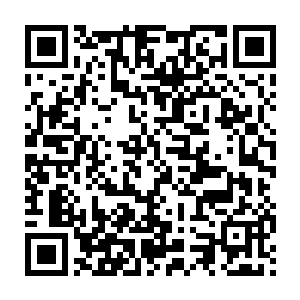 平日的刻意为难和大骂一类的事情在董姨娘眼里根本就算不上什么二维码生成