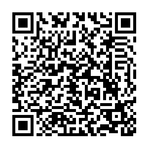 平日里在叶秋面前温顺无比的凯萨琳此时才显出了从容且周延的态度二维码生成