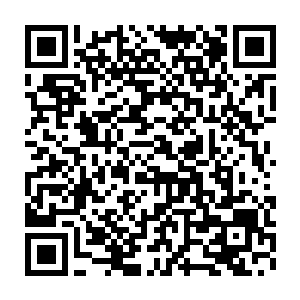 平时嚣张得无法无天的大炮仗此时此刻居然变成了一只温顺的小绵羊二维码生成