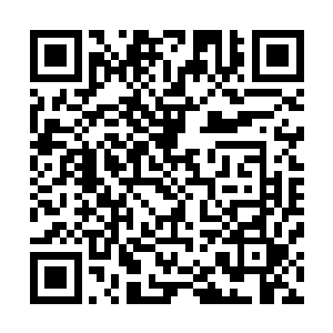 年欣然也顾不上那么多了捡起地上的公文袋就追了过去――二维码生成