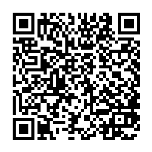 年轻稚嫩的卢卡斯在对方的高压防守下表现出了他缺乏经验和水平不够的弱点二维码生成