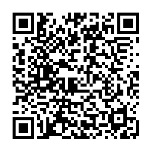 并不会如同许多老牌主播一样进行实时解说来增添比赛的趣味性和观赏性二维码生成