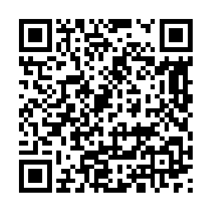 并不打算搀和进去的流墨墨只招呼众人横移了出去二维码生成