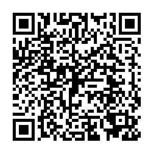 并不断激荡出一股股炽烈的南明离火焚烧和炼化那周御龙所化的剑鞘二维码生成