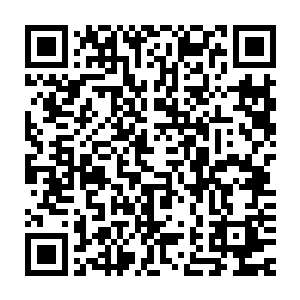 并不时的与坐在他身后两侧的一群源境护法长长老们以传音的方式商量二维码生成