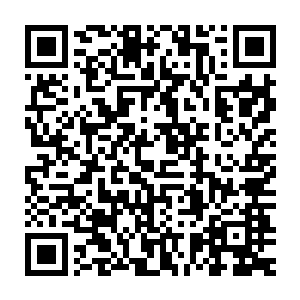 并不是保护动物本身不同的野生动物会在不同的地区有不同的表现二维码生成