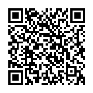 并且他们都在现在这个打野位置上收获了自己职业生涯的第二春二维码生成