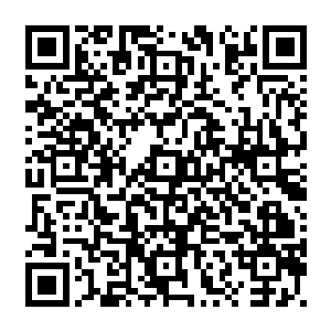 并且会在特定的情况下将这一份血脉逐步传递给蛇族应当继承或者说天赋极佳的后代二维码生成