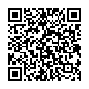 并且又强加和提升了第二次的道体能量想用五行法术进行攻击二维码生成
