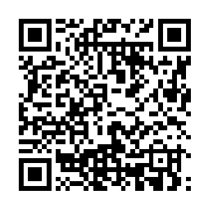 并且对怀特身体内受到损伤的肌肉组织和器官进行修复二维码生成