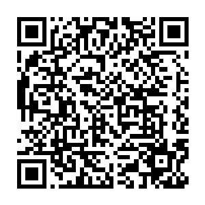 并且很可能一辈子都无法回归家族的人到底在那一刻有什么样的感觉二维码生成