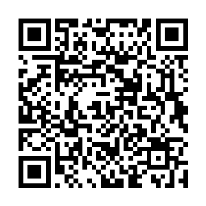 并且按照不同的势力和地位享有不同的股份和定期分红二维码生成