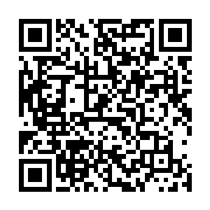 并且掌握了一门可以破解科目二剑法的绝学――四轮轿车剑二维码生成
