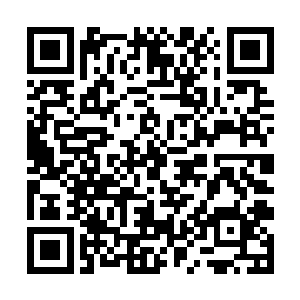 并且排除差役将死鬼口中所说的真凶张大林抓捕归案二维码生成