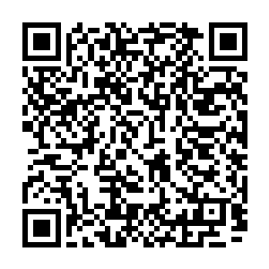 并且曾任周御龙手下战斗小队队长的他对于战斗方面还是有着一定的经验和见解二维码生成