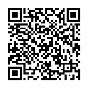 并且直接咬破中指对着小徒弟的背部画出一张镇鬼符箓二维码生成