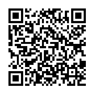 并且精通杀戮之道的强者他依旧还是无法在硬碰硬上占据上风二维码生成