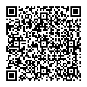 并且获得的回报肯定不止付出的这一些的……至于说以后很难再碰上达伦大祭司这样的团伙恶人二维码生成